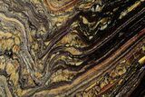 Polished Tiger Iron Stromatolite Slab - Billion Years #351796-1